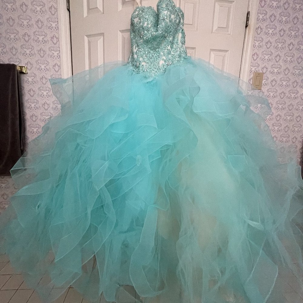 Morilee Vizcaya Quinceanera Corset Fairytale Dress Ball Gown 89174 *Note Cond